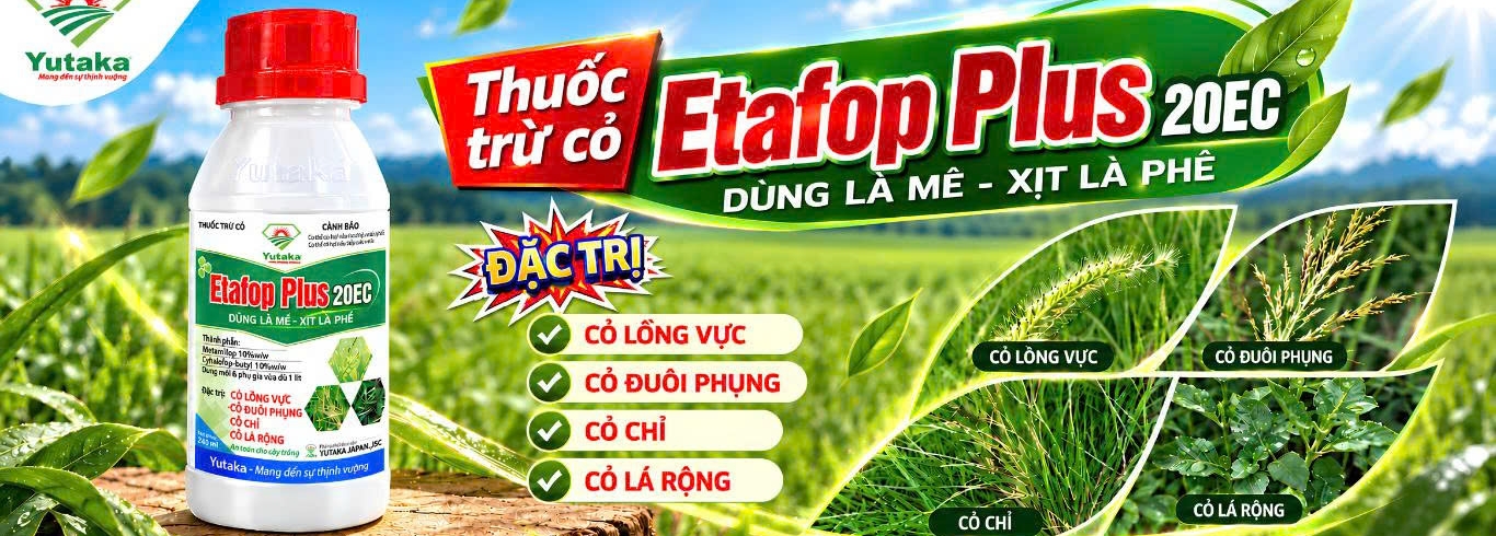 hình slide - 