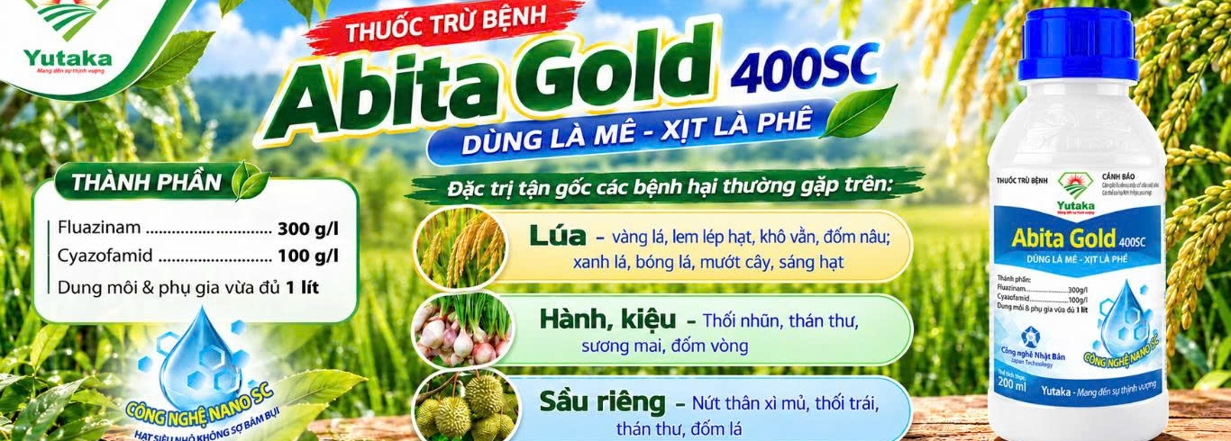 hình slide - 