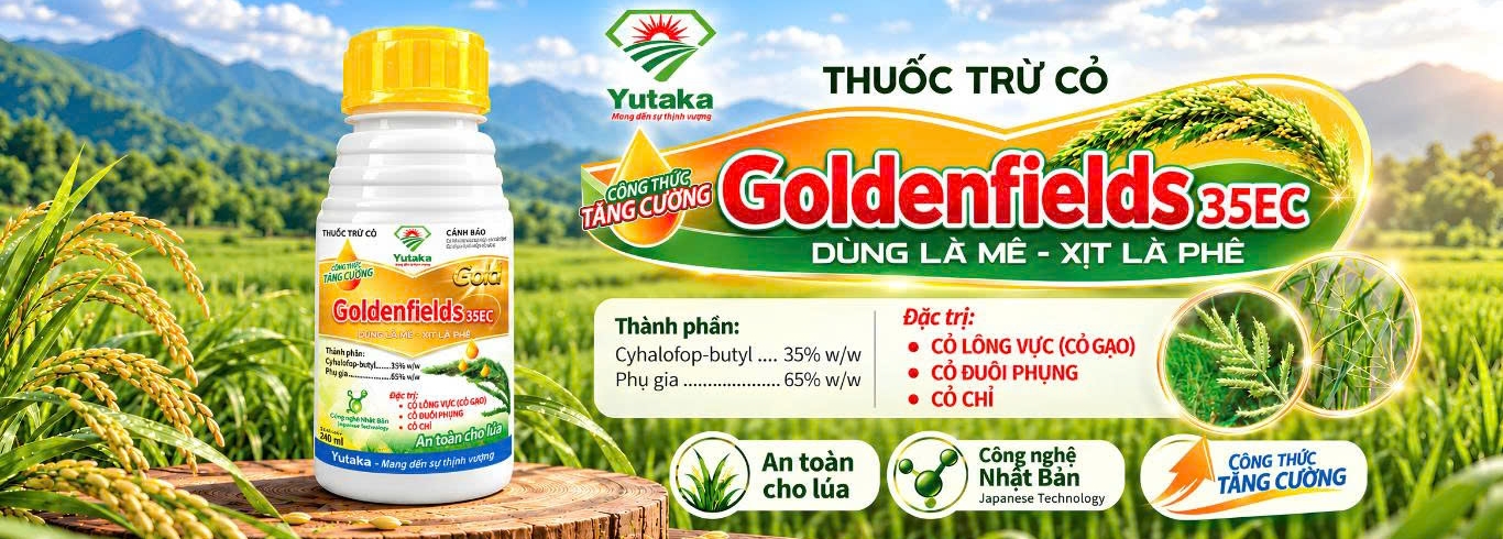 hình slide - 