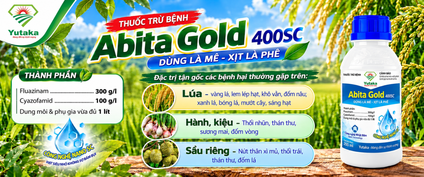 hình slide - 