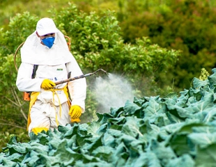 5 Nguyên Tắc Vàng Khi Sử Dụng Thuốc Trừ Sâu An Toàn, Bảo Vệ Sức Khỏe Và Môi Trường