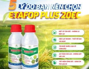 5 LÝ DO BẠN NÊN CHỌN ETAFOP PLUS 20EC