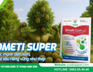Ometi Super – Sức mạnh diệt nấm, cho sầu riêng vững như thép
