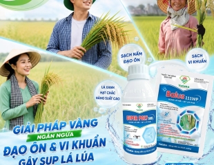 GIỮ LÁ ĐÒNG KHỎE – GIỮ TRỌN NĂNG SUẤT CUỐI VỤ