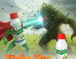 The lightning battle between Etafop Plus and weeds!