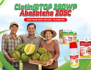 NHỆN ĐỎ TẤN CÔNG – CÂY TRỒNG “KHÓ THỞ” TỪNG NGÀY!