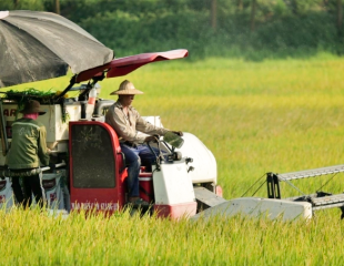 Nông nghiệp và năng lượng tái tạo được ưu tiên vay vốn xanh