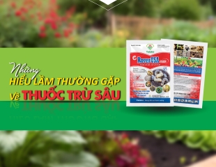 Những Hiểu Lầm Thường Gặp Về Thuốc Trừ Sâu 🌱