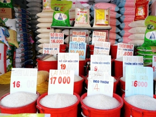 Giá gạo xuất khẩu lập đỉnh 15 năm