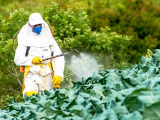 5 Nguyên Tắc Vàng Khi Sử Dụng Thuốc Trừ Sâu An Toàn, Bảo Vệ Sức Khỏe Và Môi Trường