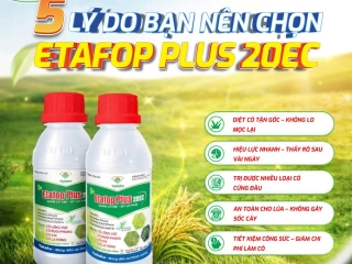 5 LÝ DO BẠN NÊN CHỌN ETAFOP PLUS 20EC