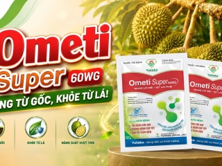 VƯỜN SẦU RIÊNG XANH TỐT NHƯNG NẤM BỆNH ĐANG ÂM THẦM TẤN CÔNG?