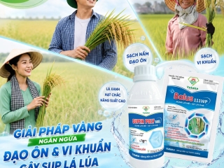 GIỮ LÁ ĐÒNG KHỎE – GIỮ TRỌN NĂNG SUẤT CUỐI VỤ
