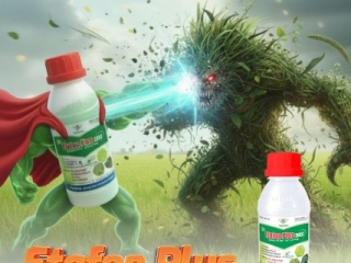The lightning battle between Etafop Plus and weeds!