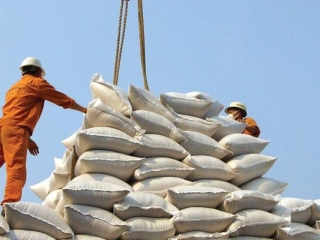 8 tháng năm 2023, xuất khẩu gạo đạt 3,17 tỷ USD, tăng 36,1%