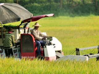 Nông nghiệp và năng lượng tái tạo được ưu tiên vay vốn xanh