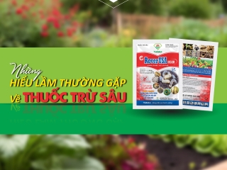Những Hiểu Lầm Thường Gặp Về Thuốc Trừ Sâu 🌱