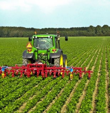 CÔNG TY CỔ PHẦN QUỐC TẾ YUTAKA NHẬT BẢN