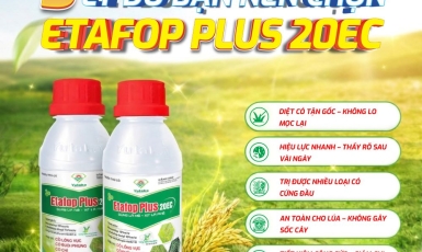5 LÝ DO BẠN NÊN CHỌN ETAFOP PLUS 20EC