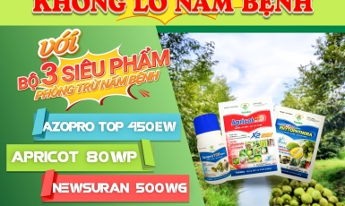 Phòng Nấm Bệnh cho cây sầu riêng: Giải Pháp Bảo Vệ Mùa Màng Hiệu Quả 