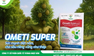 Ometi Super – Sức mạnh diệt nấm, cho sầu riêng vững như thép