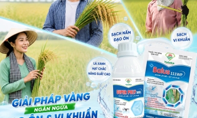 GIỮ LÁ ĐÒNG KHỎE – GIỮ TRỌN NĂNG SUẤT CUỐI VỤ