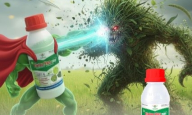 The lightning battle between Etafop Plus and weeds!