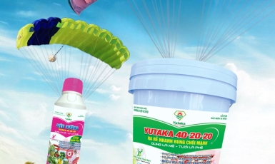 Bí quyết phục hồi sầu riêng đỉnh cao – Cây khỏe, trái đẹp!