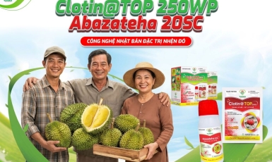 NHỆN ĐỎ TẤN CÔNG – CÂY TRỒNG “KHÓ THỞ” TỪNG NGÀY!