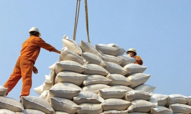 8 tháng năm 2023, xuất khẩu gạo đạt 3,17 tỷ USD, tăng 36,1%
