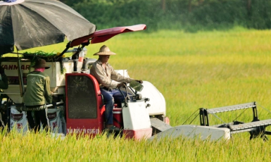  Nông nghiệp và năng lượng tái tạo được ưu tiên vay vốn xanh