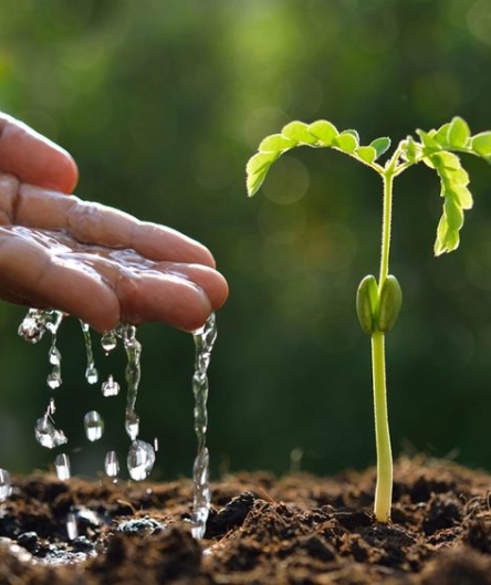 CÔNG TY CỔ PHẦN QUỐC TẾ YUTAKA NHẬT BẢN