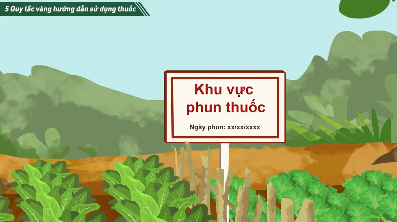 phân vùng và thời điểm phun thuốc