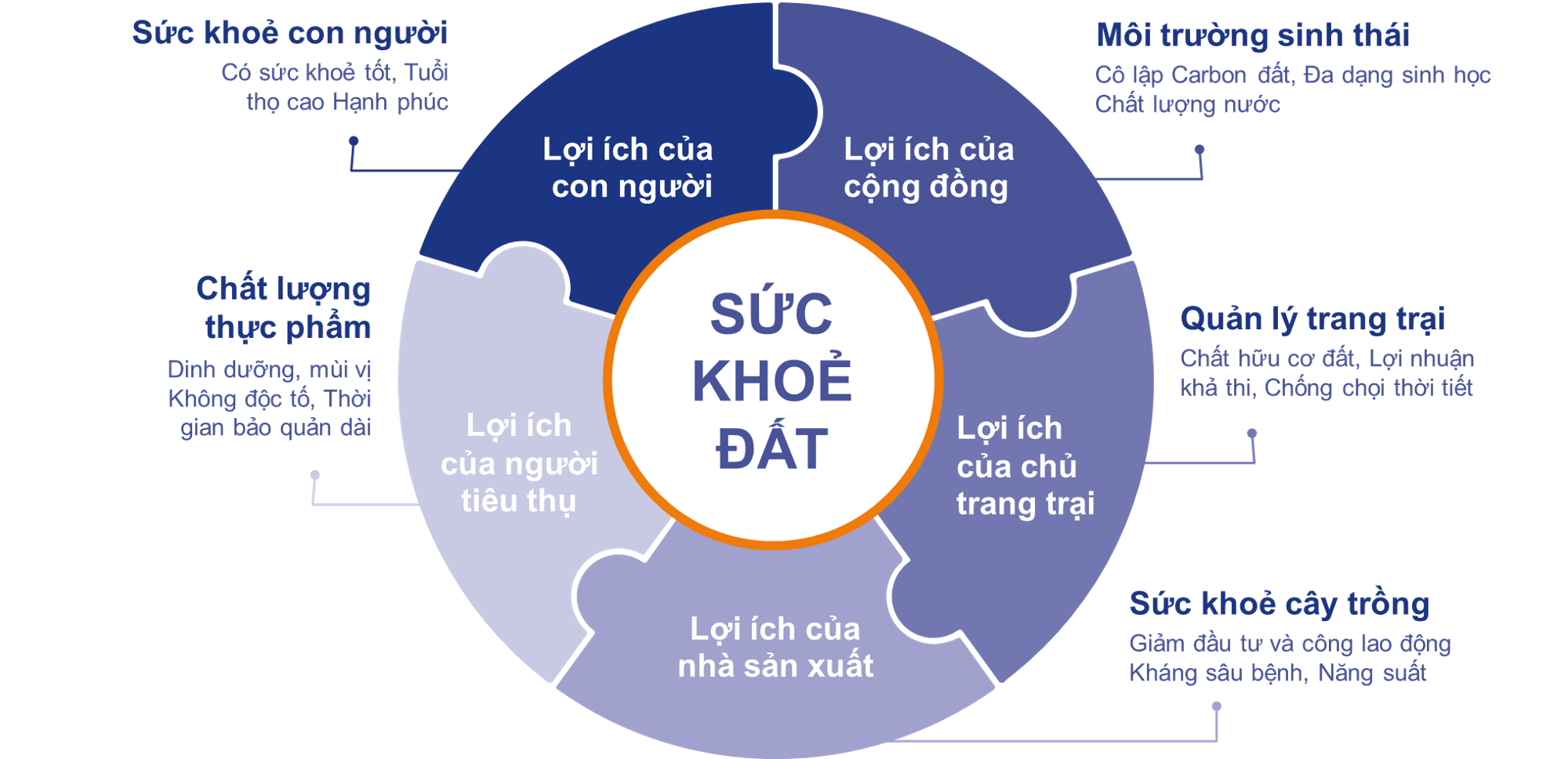 Vòng tròn sức khỏe đất