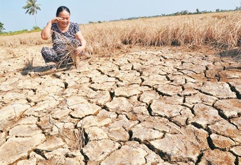 Suy thoái dất