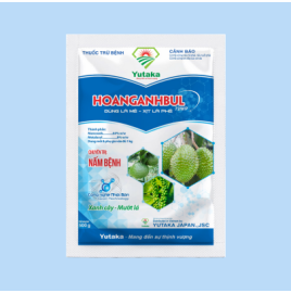 Thuốc trừ bệnh Hoanganhbul 72WP 