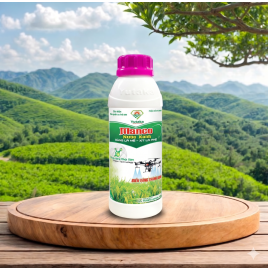MANCO NƯỚC XANH