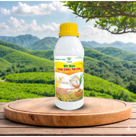 VÔ GẠO - CHÍN CHẮC TỚI CẬY
