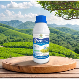 TOP YUTAKA