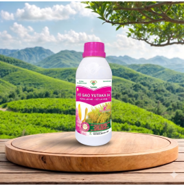 VÔ GẠO YUTAKA 04