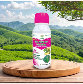 SIÊU CHẶN ĐỌT SẦU GIÊNG 