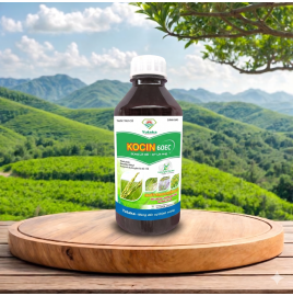 KOCIN 60EC