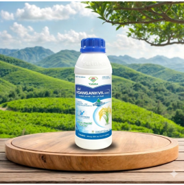 HOANGANHVIL 50SC (Vua Trị Bệnh)