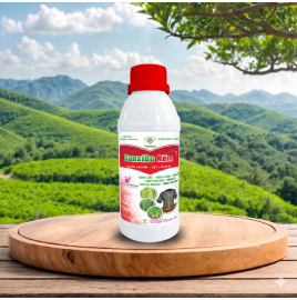 CANXIBO KẼM 2