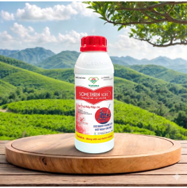  SOMETHRIN 10EC (Sát Thủ Rầy Rệp 250)
