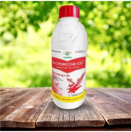 CYPDIME (558) 10EC (Đại Bàng Lửa)