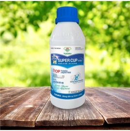 SUPER CUP 151SC (TOP Yutaka Japan 450)