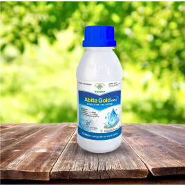 Abita-gold