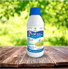 top yutaka