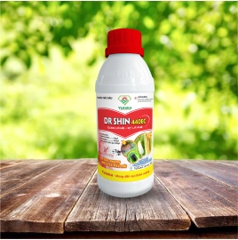 dr shin